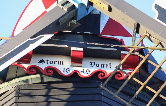 Stormvogel (5)